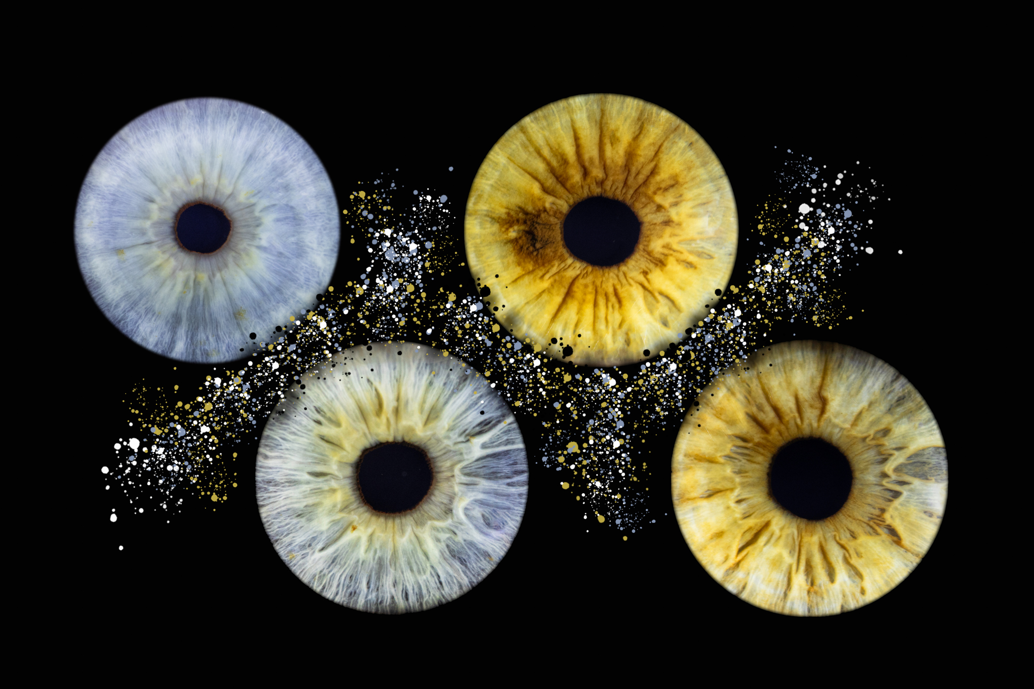 Irissen fam Meeuwsen 5.jpg